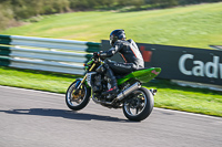 Middle Group Green Bikes